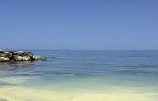 Güzelkent sahilinde görülen sarıya dönük tabaka...