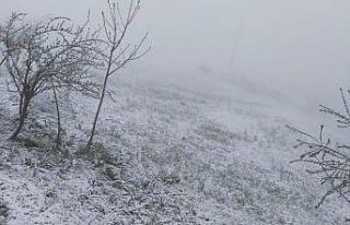 Hakkari köylerinde Mayıs ayında kar sürprizi