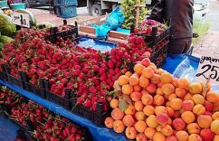 Halk pazarında sebze fiyatları düşüyor