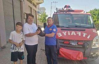 Havalandırma boşluğunda mahsur kalan kediyi itfaiye...