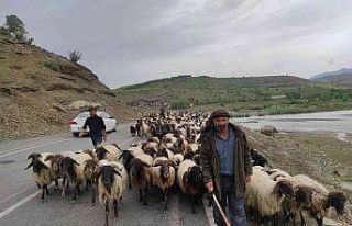 Havalar ısındı, göçerlerin zorlu yolculuğu başladı