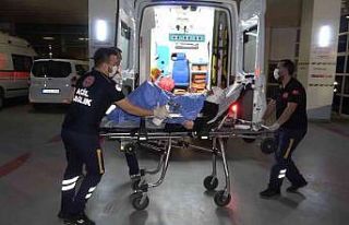 Havalar ısınınca ortaya çıktı: Gece uykudayken...