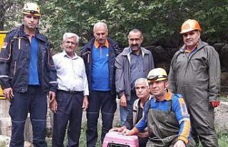Havuza düşen yavru domuzları AFAD kurtardı