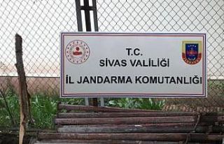 Hırsızlık zanlıları jandarmadan kaçamadı