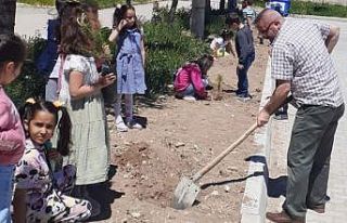 Hisarcık Atatürk İlkokulu’nda fidan dikim etkinliği