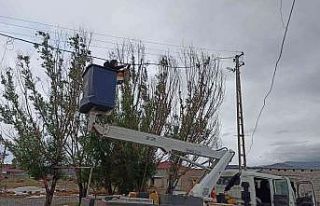 Iğdır’da elektrik tellerine takılan karga kurtarıldı