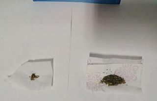 İlçeye uyuşturucu madde getiren 2 kişi yakalandı