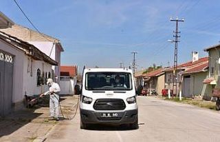 İnönü Belediyesi ilaçlama çalışması başlattı