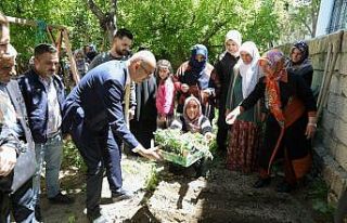 İpekyolu Belediyesinden sebze fidesi dağıtımı