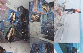 Isparta’da kaçak avlanan 15 şahsa 57 bin 555 TL...