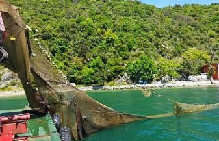 İstanbul Boğazı’nda balık avlamak için kaçak...