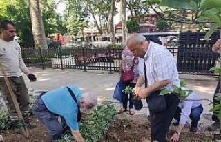 İstanbul, “Isparta gülü” kokacak