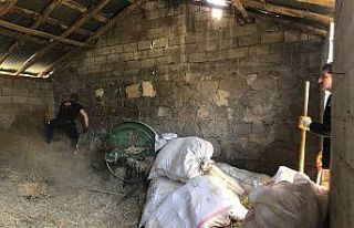 İtfaiye ekibi samanlıkta yılan aradı