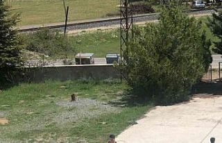 Jandarma ekipleri içleri ısıttı