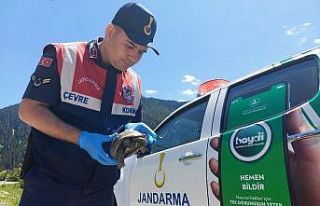 Jandarma ekiplerinin bulduğu yaralı kaplumbağa...