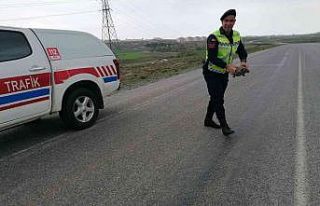 Jandarmadan kaplumbağaya yardım eli