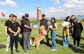 Jandarmanın kahraman köpekleri büyük beğeni topladı