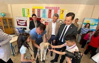 Kabadüz’de minik öğrencilere hayvan sevgisi aşılandı