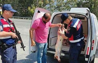 Kaçak kesim havyan eti yakalandı