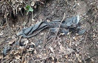 Kafatası bulunan alanda aramalar sürerken, insan...