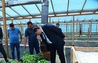 Kahramankazan’da “Ata Tohumu” projesi