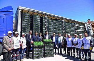 Kahramankazan’da çiftçilere 1 milyon 200 bin sebze...