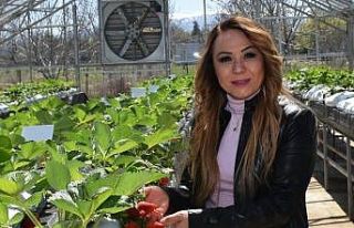 “Kalede Çilek Kadın Elinde Yetişecek” Projesi...