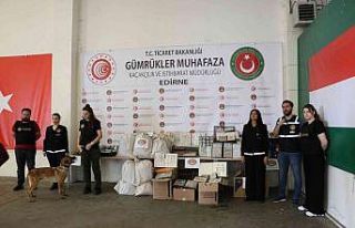 Kapıkule’de 13 milyonluk operasyon