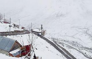 Kar yağışı Rize’nin yüksek kesimlerinde etkili...