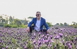 Karacabey’in doğa harikası longoz ormanları ziyaretçilerini...