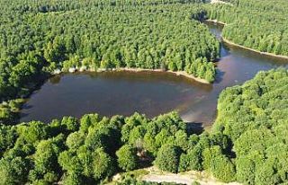 Karalık Yaylası’ndan kartpostallık görüntüler