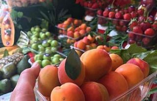 Kayısının kilosu 50 TL’den tezgâhta