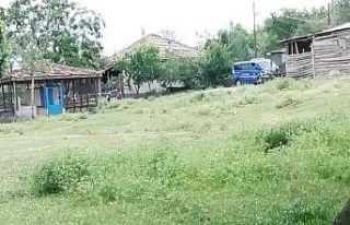 Kazara eşini öldüren şahsa 3 yıl hapis cezası...