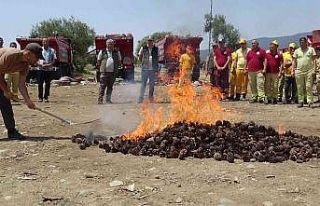 Kazdağları’nın ateş savaşçıları eğitimlerini...