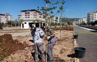 Kent Parkta bahar bakımı