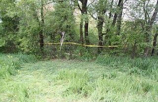 Kestiği kavak ağacının altında kalarak hayatını...