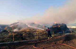Kılıç tarım hayvancılık tesisinde büyük yangın