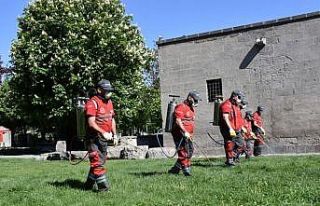 Kocasinan’dan huzurlu bir yaz için haşere ile...