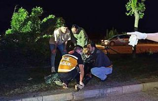 Kontrolden çıkan otomobil ağaç ve direği devirerek...