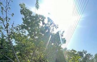 Kontrolü kaybeden sürücü şarampole uçtu