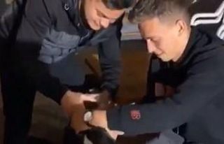 Köpeğe alkol işkencesi