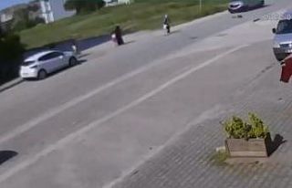 Köpekten kaçarken az daha canından oluyordu