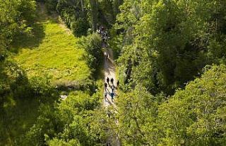 Koramaz Vadisi araç trafiğine kapatıldı