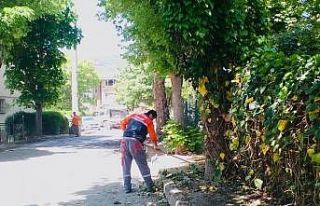 Körfez’de bahar temizliği