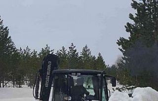 Köyceğiz Ağla, Beyağaç yolu ulaşıma açıldı