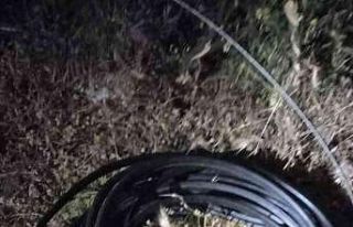 Köyceğiz Polisinden kablo hırsızlarını suçüstü...
