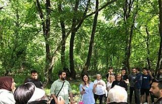 Köyceğiz’de botanik gezisi ve matematik ilişkisi...