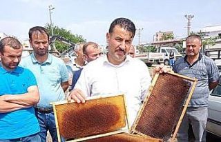 Kozanlı arıcılar sahte bala dikkat çekti