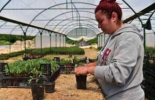 Kuaförlük yaparken çiftçiliğe geçti, 28 yaşında...