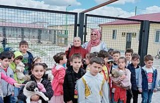 Küçük öğrencilerden hayvan barınağına ziyaret